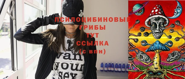 спайс Баксан