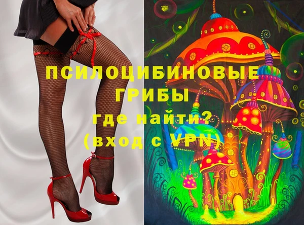 спайс Баксан